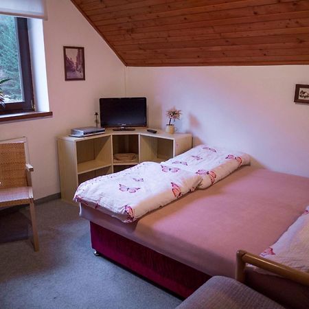 Apartment Harrachov/Riesengebirge 2400 外观 照片