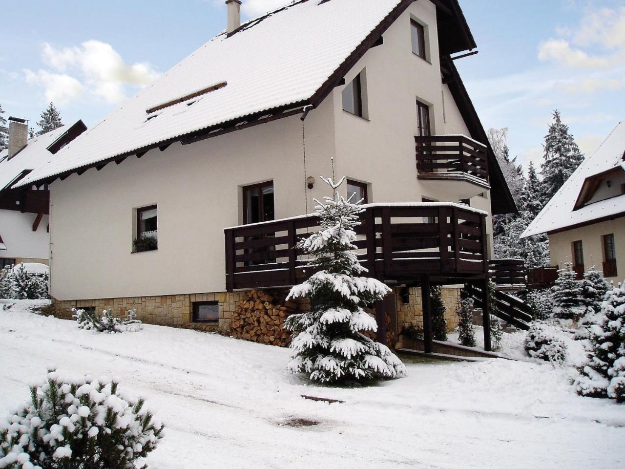 Apartment Harrachov/Riesengebirge 2400 外观 照片